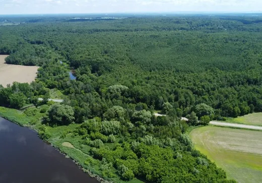 Land for Sale - 705 Rg Therrien, Saint-Lucien, J0C 1N0