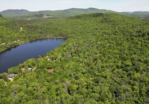 Terrain à vendre -  Ch. du Lac-Boeuf, St-Donat-De-Montcalm, J0T 2C0