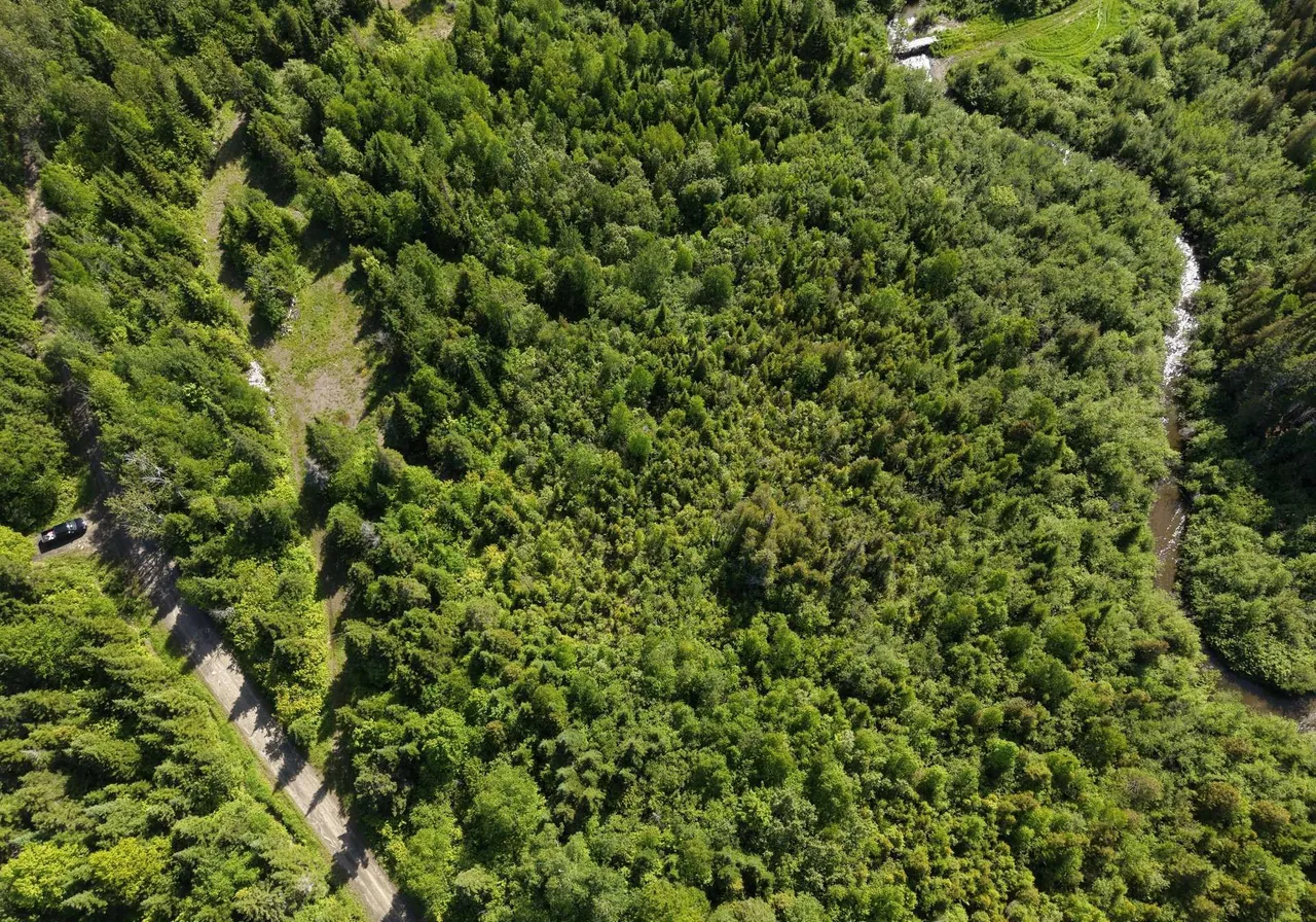 Route du Ruisseau-à-la-Loutre — photo 1