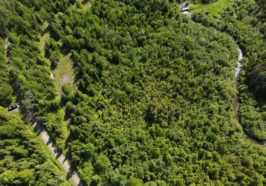 Terrain à vendre -  Route du Ruisseau-à-la-Loutre, Grosses-Roches, G0J1K0