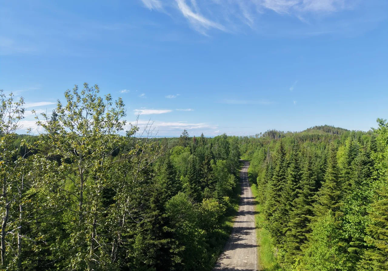 Route du Ruisseau-à-la-Loutre — photo 3