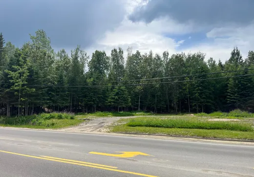 Land for Sale - Route 117 Route 117, St-Remi-D'Amherst, J0T 2L0