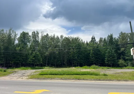 Land for Sale - Route 117 Route 117, St-Remi-D'Amherst, J0T 2L0