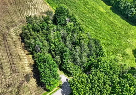 Terrain à vendre - 1510 Rue Marie-Josée, Granby, J2J0R1