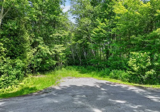 Terrain à vendre - 1510 Rue Marie-Josée, Granby, J2J 0R1