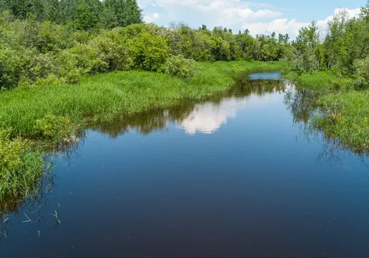 Land for Sale -  Route 111, Clermont, J0Z 3M0