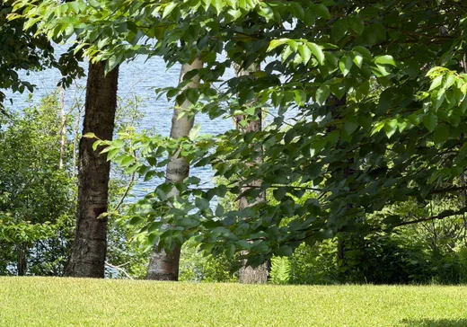 Land for Sale - 17 Ch. des Courbes, Lac-Saint-Paul, J0W 1K0