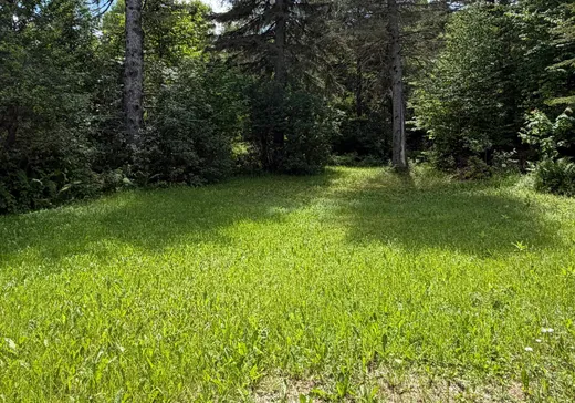 Land for Sale - 17 Ch. des Courbes, Lac-Saint-Paul, J0W 1K0