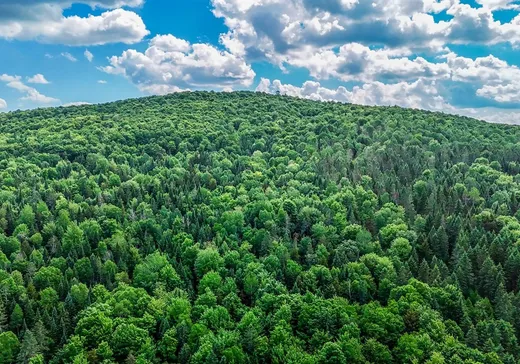 Land for Sale - 81 Route 263, St-Fortunat, G0P 1G0