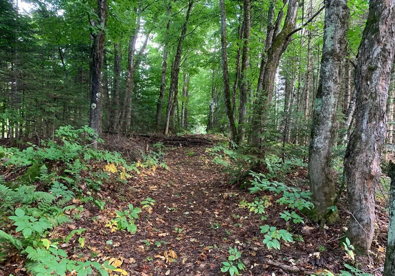 Rue Allen — photo 1