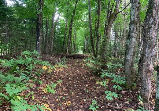 Land for sale -  Rue Allen, Morin-Heights, J0R1H0