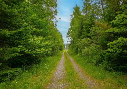 Land for Sale - 315 Ch. du Soleil-Couchant, Stratford, G0Y 1P0