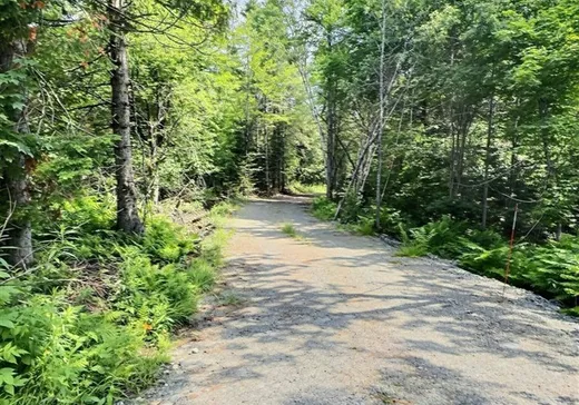 Terrain à vendre - 69 Route 214, Lac-Mégantic, G0Y1E0