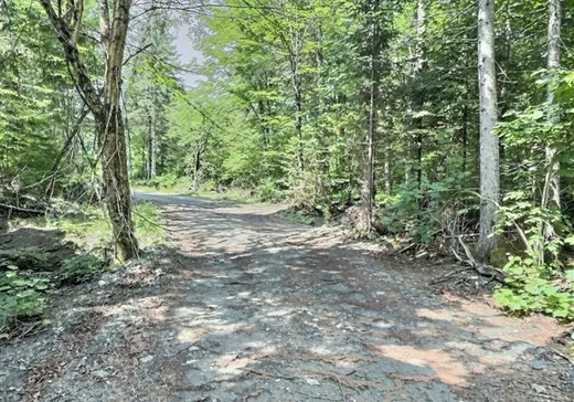 Terrain à vendre - 69 Route 214, Lac-Mégantic, G0Y 1E0