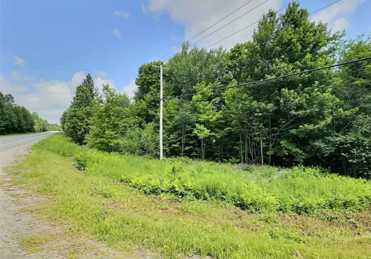 Terrain à vendre - 69 Route 214, Lac-Mégantic, G0Y 1E0