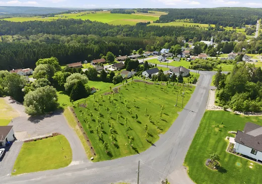 Land for Sale - 3376 Rue des Cèdres, Notre-Dame-des-Pins, G0M 1K0