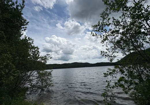 Terrain à vendre - 391 Ch. des Verges-d'Or (391Z), Denholm, J8N 9K4