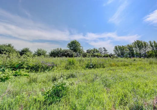 Land for Sale -  Ch. Trudeau, Saint-Mathieu-de-Beloeil, J3G 0E2