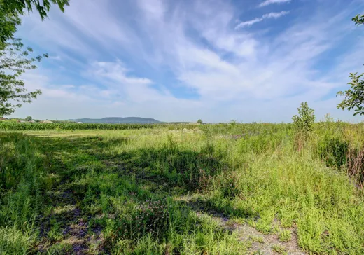Land for Sale -  Ch. Trudeau, Saint-Mathieu-de-Beloeil, J3G 0E2