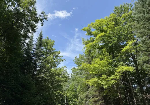 Land for Sale -  Rue Viateur, St-Alphonse-Rodriguez, J0K 1W0