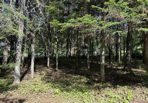 Land for Sale -  Rue Viateur, St-Alphonse-Rodriguez, J0K 1W0