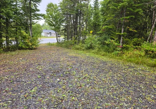 Land for Sale - 5010 Route 263, Thetford-Mines, G0N 1E3