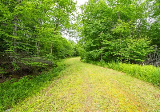 Land for Sale - 98 Ch. du Domaine, Sawyerville, J0B 3A0