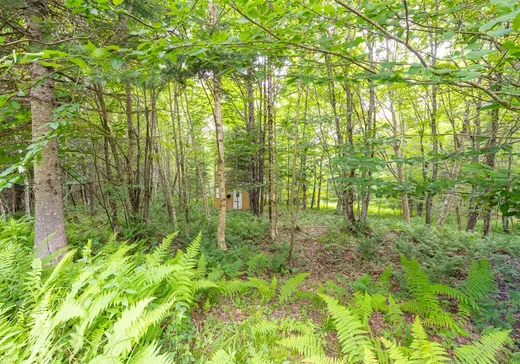 Land for Sale - 98 Ch. du Domaine, Sawyerville, J0B 3A0