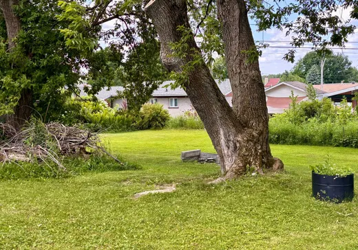 Terrain à vendre -  Rue St-Jacques O., Plessisville, G6L 4Y6