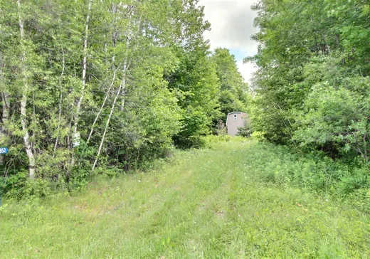 Land for Sale - 1850 Ch. Daudelin, Sainte-Christine, J0H 1H0