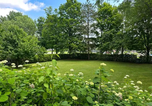 Terrain à vendre - 42Z Rue Potvin, Victoriaville, G6P 5K1