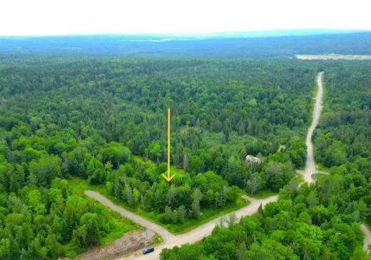 Land for Sale - 25 Ch. des Bouleaux, Lac-Mégantic, J0B 1Y0