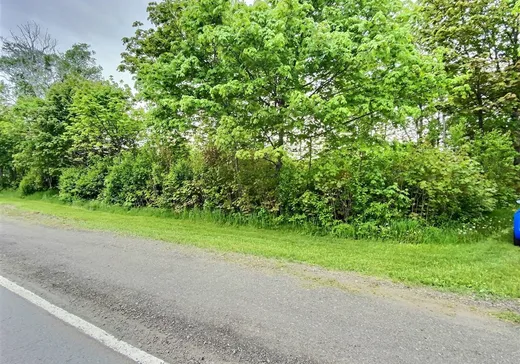 Land for Sale - 184 Route de l'Anse-au-Persil, Rivière-du-Loup, G5R 5Z6