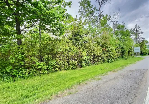 Land for Sale - 184 Route de l'Anse-au-Persil, Rivière-du-Loup, G5R 5Z6