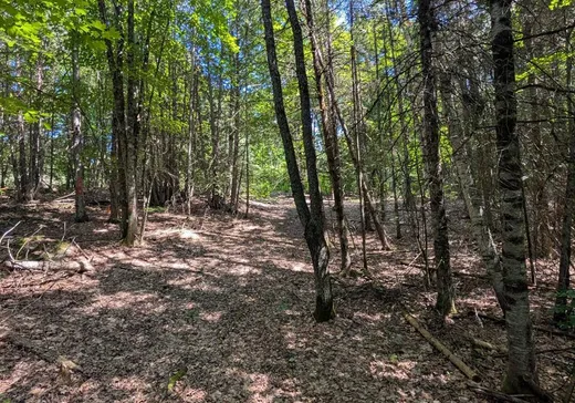 Terrain à vendre - 340 Ch. Kennedy, Hull, J0X2W0