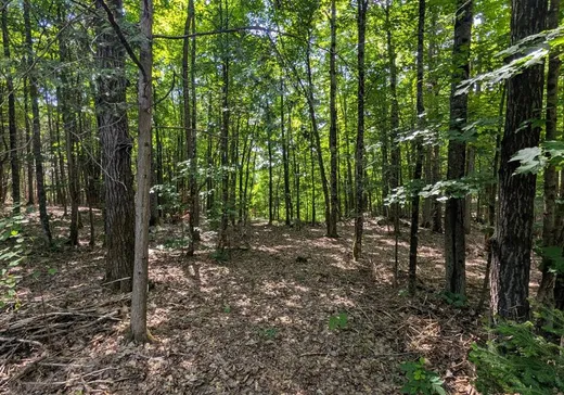 Terrain à vendre - 340 Ch. Kennedy, Hull, J0X 2W0