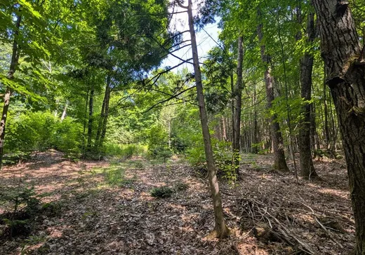 Terrain à vendre - 340 Ch. Kennedy, Hull, J0X 2W0