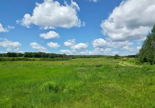 Terrain à vendre - X Rg St-Paul, Portneuf, G0A2Y0