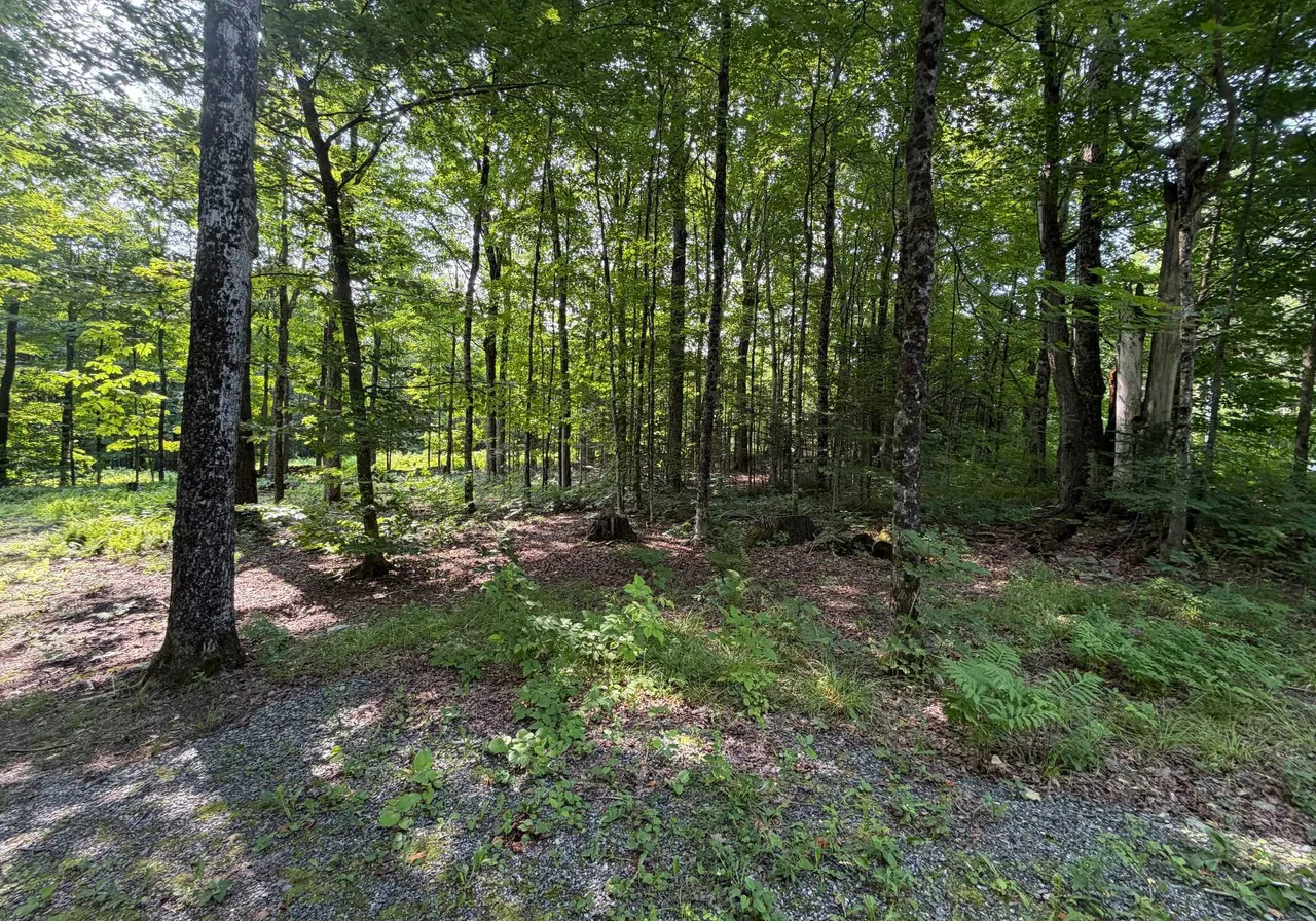 Ch. du Pipeline — photo 1