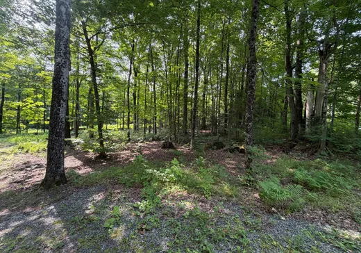 Land for Sale -  Ch. du Pipeline, Mansonville, J0E 1X0