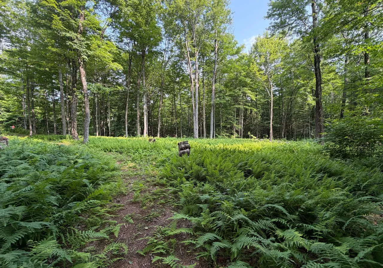 Ch. du Pipeline — photo 2