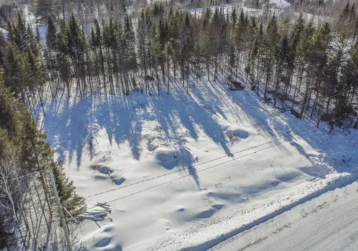 Terrain à vendre - 898 Rue Rodrigue, Saint-René, G0M1Z0
