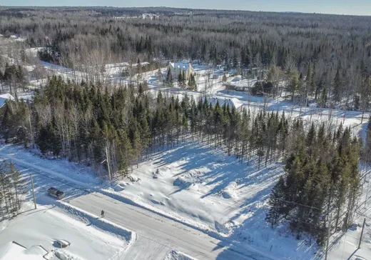 Terrain à vendre - 898 Rue Rodrigue, Saint-René, G0M 1Z0