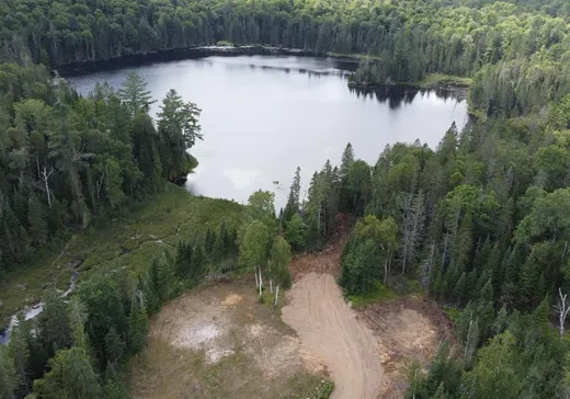 Terrain à vendre - 1943 Ch. Picanoc, Otter Lake, J0X2P0