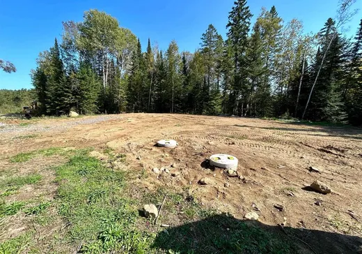Terrain à vendre - 1943 Ch. Picanoc, Otter Lake, J0X 2P0