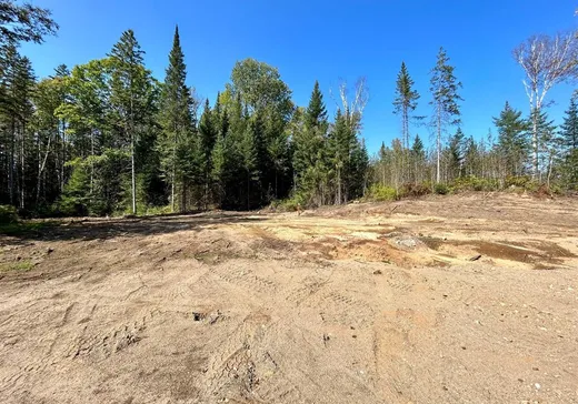 Terrain à vendre - 1943 Ch. Picanoc, Otter Lake, J0X 2P0