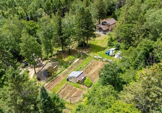 Land for Sale - 36Z Route 212, Notre-Dame-Des-Boies, J0B 2E0