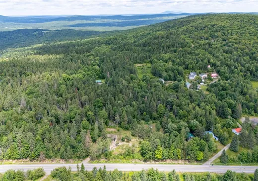 Land for Sale - 36Z Route 212, Notre-Dame-Des-Boies, J0B 2E0