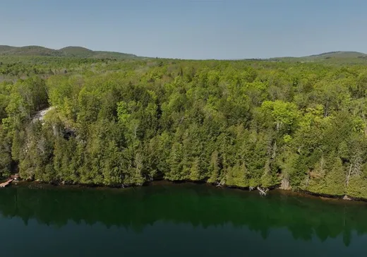 Terrain à vendre - 116 Ch. Grant, Lac-Bouchette, J0X1E0