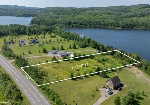 Terrain à vendre - 791 Route 295 S., Saint-Pierre-de-Lamy, G0L4H0